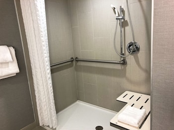 ADA Accessible, Standard Room, 1 King Bed, Roll-in Shower