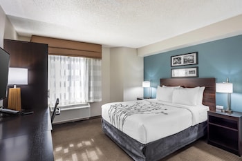 Accessible Room | 1 Queen Bed | Roll-In Shower | Sleeps 2 | Free Breakfast