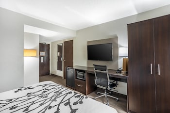 Accessible Room | 1 Queen Bed | Roll-In Shower | Sleeps 2 | Free Breakfast