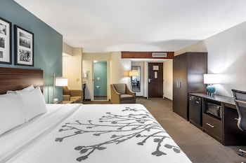 Room | 1 King Bed + Sofa Bed | Sleeps 3 | Free Breakfast