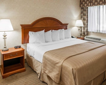 Standard Room, 1 King Bed, Non Smoking