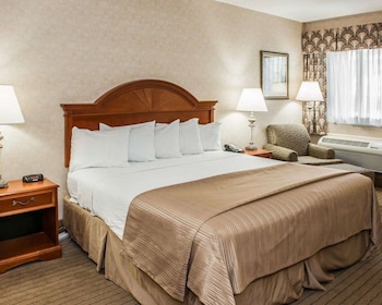 Standard Room, 1 King Bed, Non Smoking