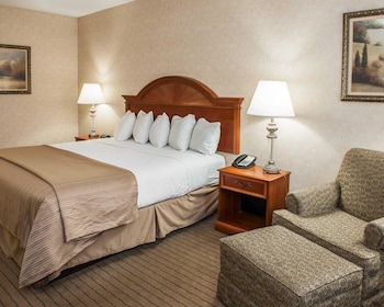Standard Room, 1 King Bed, Non Smoking