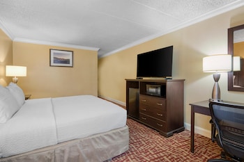 Standard Room, 1 King Bed, Non Smoking, Refrigerator & Microwave
