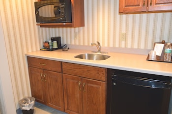 Suite, 1 King Bed, Non Smoking, Kitchenette (with Sofabed)