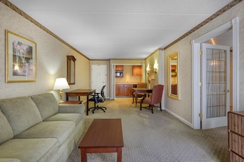 Suite, 1 King Bed, Non Smoking, Kitchenette (with Sofabed)