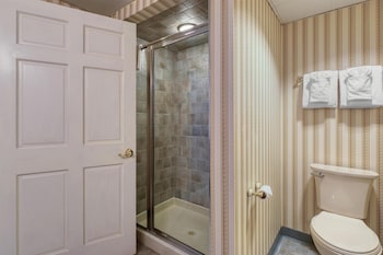 Suite, 1 King Bed, Non Smoking, Kitchenette (with Sofabed)