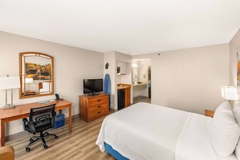 Business Room, 1 Queen Bed