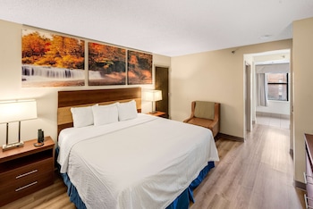 Standard Room, 1 King Bed, Refrigerator & Microwave