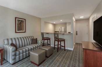 Deluxe Suite, 1 King Bed with Sofa bed, Non Smoking