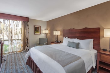 Room, 1 King Bed, Non Smoking