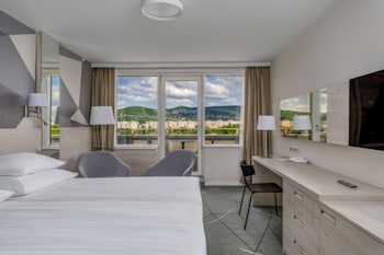 Premium Plus Room with Wellness and Fitness Access