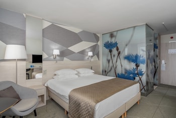 Premium Double Room with Wellness and Fitness Access