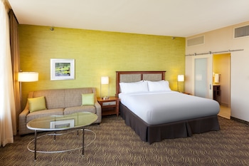 Room, 1 Double Bed, Accessible (Roll-In Shower)