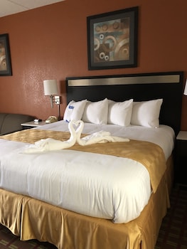 Room, 1 King Bed, Non Smoking