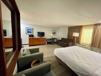 Suite, 1 King Bed Non-Smoking