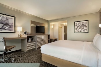 1 KING BED