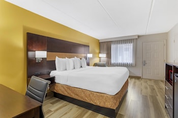 Standard Room, 1 King Bed, Non Smoking, Refrigerator & Microwave