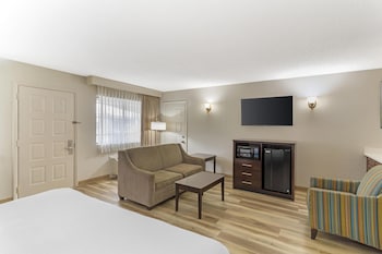Suite, 1 King Bed, Non Smoking, Refrigerator & Microwave (with Sofabed)