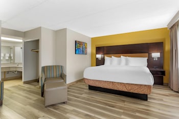 Standard Room, 1 King Bed, Non Smoking, Refrigerator & Microwave (Larger Room)