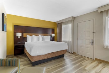 Standard Room, 1 King Bed, Non Smoking, Refrigerator & Microwave (Larger Room)