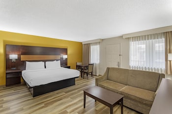 Suite, 1 King Bed, Non Smoking, Refrigerator & Microwave (with Sofabed)