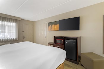 Standard Room, 1 King Bed, Non Smoking, Refrigerator & Microwave