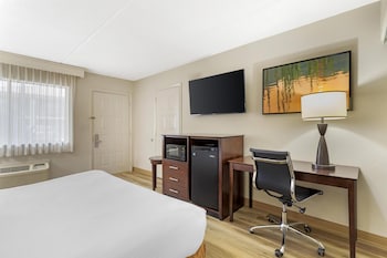 Standard Room, 1 King Bed, Accessible, Non Smoking