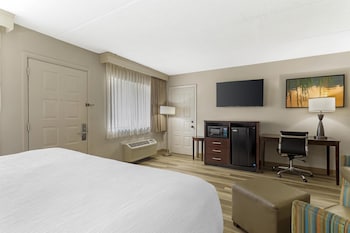 Standard Room, 1 King Bed, Non Smoking, Refrigerator & Microwave (Larger Room)