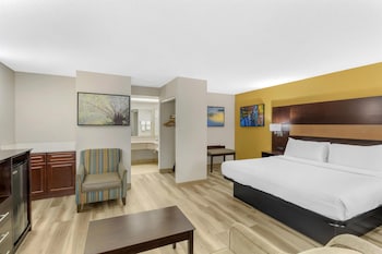 Suite, 1 King Bed, Non Smoking, Refrigerator & Microwave (with Sofabed)