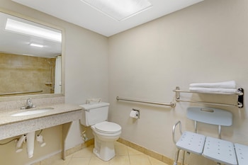 Standard Room, 1 King Bed, Accessible, Non Smoking