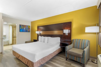 Standard Room, 1 King Bed, Accessible, Non Smoking