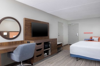 Room, 1 King Bed, Accessible