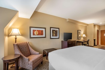 Standard Room, 1 King Bed, Non Smoking, Refrigerator & Microwave (with Sofabed)