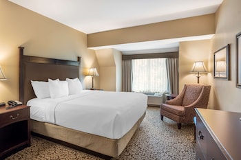 Standard Room, 1 King Bed, Non Smoking, Refrigerator & Microwave