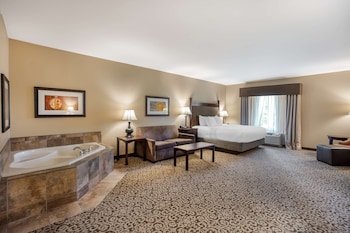 Suite, 1 King Bed, Non Smoking, Jetted Tub (with Sofabed)