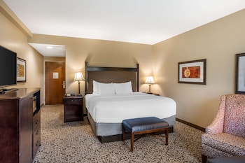 Standard Room, 1 King Bed, Non Smoking, Refrigerator & Microwave