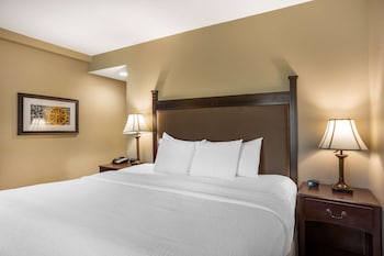 Standard Room, 1 Queen Bed, Non Smoking, Refrigerator & Microwave
