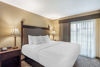 Standard Room, 1 King Bed, Non Smoking, Refrigerator & Microwave