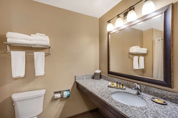 Standard Room, 1 King Bed, Non Smoking, Refrigerator & Microwave (with Sofabed)