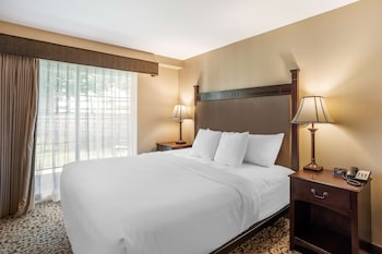 Standard Room, 1 Queen Bed, Non Smoking, Refrigerator & Microwave