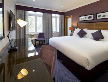Executive Double Room, 1 King Bed