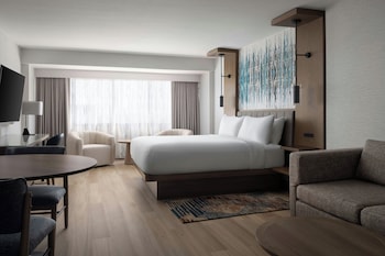 Room, 1 King Bed