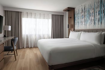 Suite, 1 Bedroom