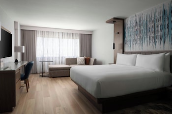 Room, 1 King Bed
