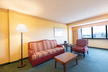 Room, 1 King Bed with Sofa bed