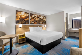Room, 1 King Bed, Non Smoking
