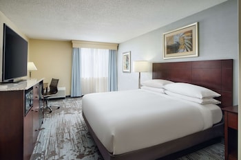 Room, 1 King Bed, Accessible, Non Smoking