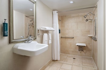 Room, 1 King Bed, Accessible, Non Smoking