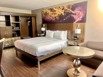 Room, 1 King Bed (Mobility Accessible, Roll-in Shower)